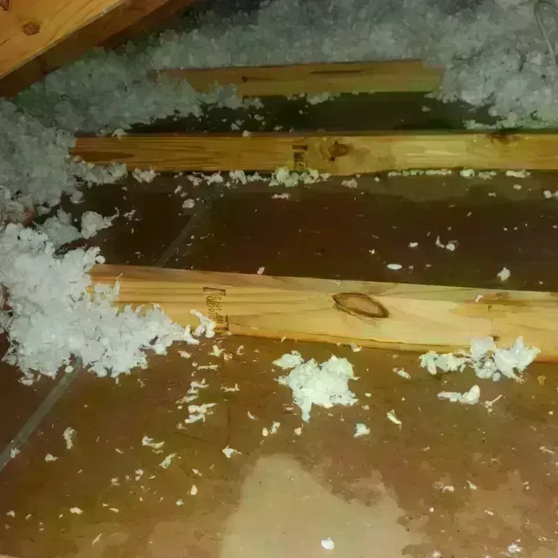 Attic Water Damage in Mentone, CA